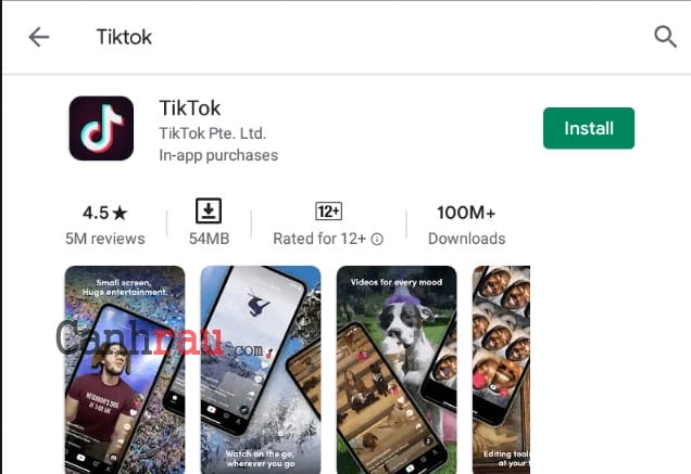 Lượt tải ứng dụng TikTok đã lên tới hơn 100 triệu