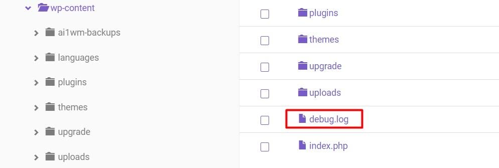 WordPress DEBUG là gì? Các cách để Debug WordPress hiệu quả 2020