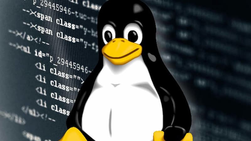 Hướng dẫn sử dụng lệnh xóa thư mục trong Linux