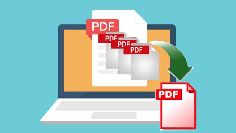 Cách Xoay File PDF Và Lưu Lại Thành File Mới 
