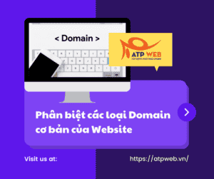 Phân biệt 5 Loại Domain cơ bản của Website