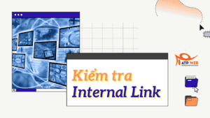 Kiểm tra Internal Link chỉ với 3 bước đơn giản