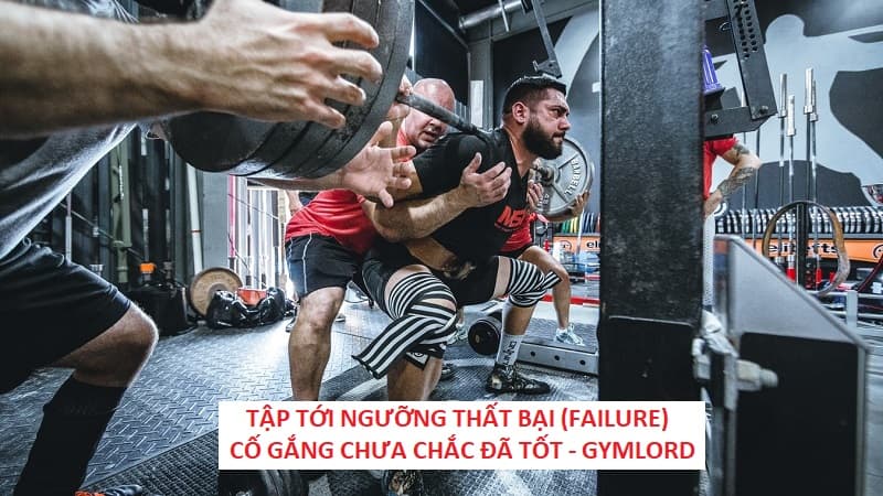 Reps là gì? Nên tập bao nhiêu Rep ở mỗi bài tập?