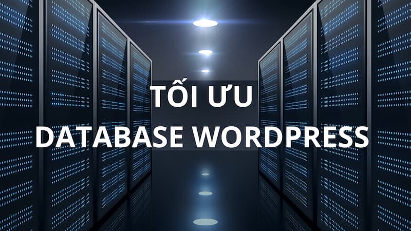 Top Plugin Đánh Giá Bài Viết Wordpress Cho Website