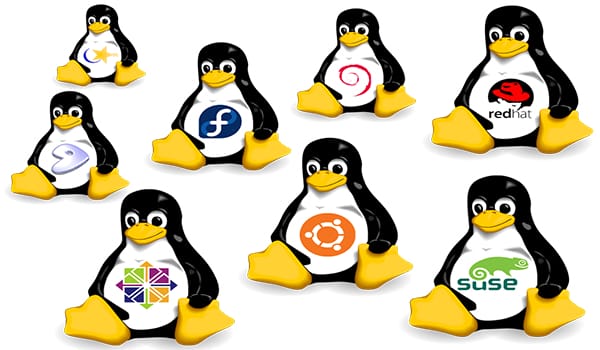 Linux là một hệ điều hành mở với nhiều công dụng bất ngờ