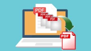 Cách Xoay File PDF Và Lưu Lại Thành File Mới