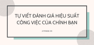 Tu Viet Danh Gia Hieu Suat Cong Viec Cua Chinh Ban