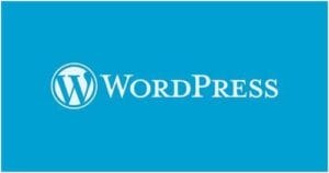 Wordpress có 10 điều thú vị mà bạn nên biết